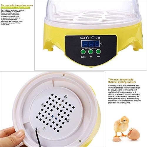 ALREMO 103234536 Mini inkubator za jaja sa 7 jaja inteligentni digitalni aparat za kontrolu Temperature peradi za Valjenje ptica pilećih