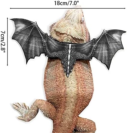 Bradat zmajski pojas, hladan kabelski svežanj sa kožnim tirannosaurus krilima za gekone bradave zmajeve kameleons iguanas