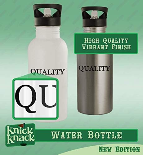 Knick Klack pokloni nanalise - 20oz boca vode od nehrđajućeg čelika, srebro