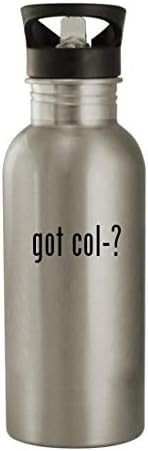 Knick Klack pokloni dobio je Col-? - 20oz boca od nehrđajućeg čelika, srebrna