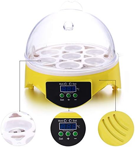 Anfan inkubator za jaja sa 7 jaja digitalni digitalni Mini inkubator za jaja od pileće patke i guske 30W
