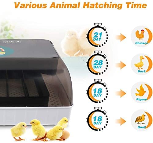 Alremo 103234536 inkubator za jaja Digitalni perad Hatcher za 4-35 jaja pileća patka ptica Turska automatsko okretanje LED displeja