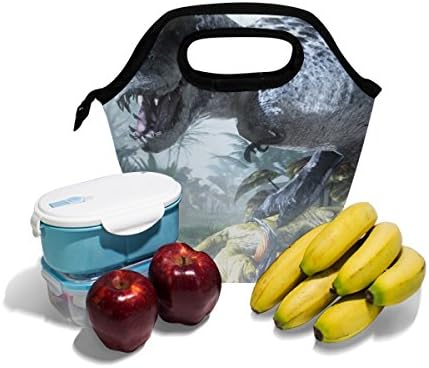HEOEH veća životinja Dino Dinosaurus torba za ručak Cooler Tote Bag izolovana kutija za ručak sa patentnim zatvaračem torba za školski