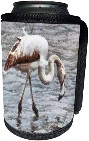 3drose koljena duboka flaminga akvarela za flamingu - može li hladnija boca