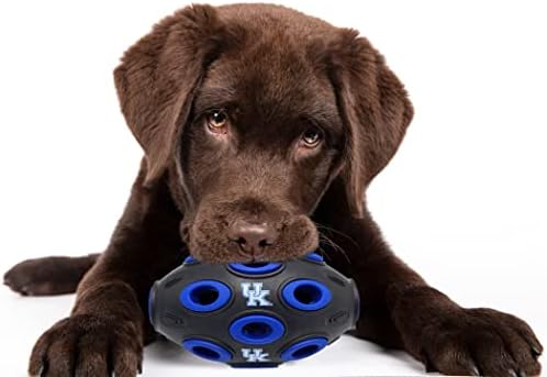 Prvi kućni ljubimci NCAA KENTUCKY Wildcats Fudbal tretirajući igračku za pse i mačke, gumeni kuglica igračka za pse, interaktivni