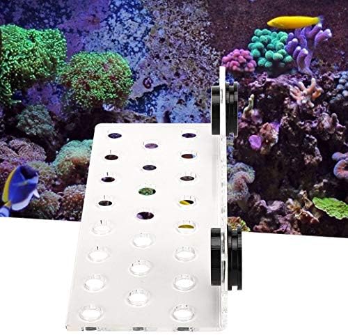 TOPINCN Koraljna Frag stalak akrilna magnetna Koraljna Frag držač podrška Coral SPS dugme nosač baza za akvarijum akvarijum