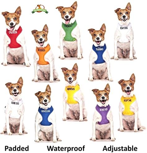 Oprez DEXIL Friendly ogrlice za pse u boji kodirani pasa Prevencija nesreće Leash 4ft / 1.2m sprječava pseće nesreće puštajući drugima