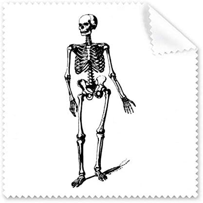 Tkanina za čišćenje skica za čišćenje ljudskog skeleta 5 kom