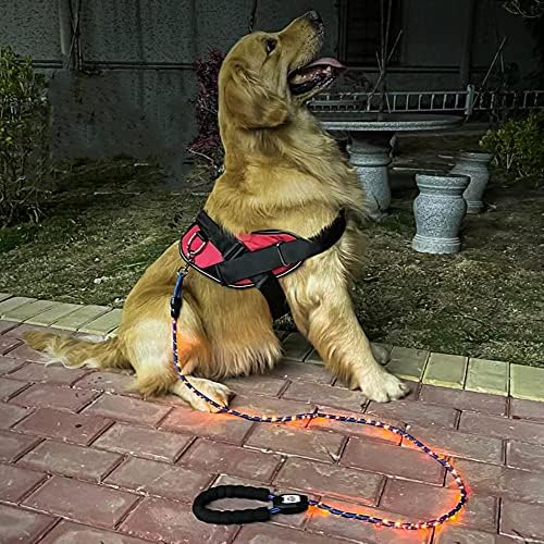 Punjivi užareni LED pseći povodac eksplozijski provaliti PET Voditelj, 3 modus bljeskalice svijetli za šetnju psa noću plavo 59 inča